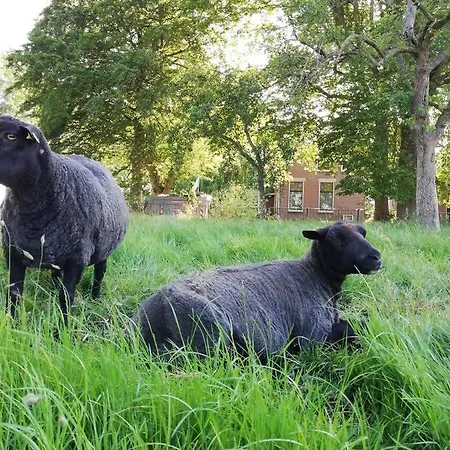 't Pekelhuis - Op Boerderij Huize Blokland Hem
