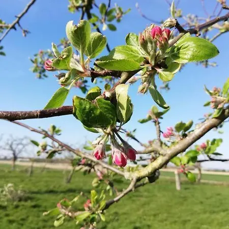't Pekelhuis - Op Boerderij Huize Blokland *