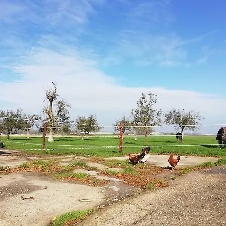 't Pekelhuis - Op Boerderij Huize Blokland Дом отдыха