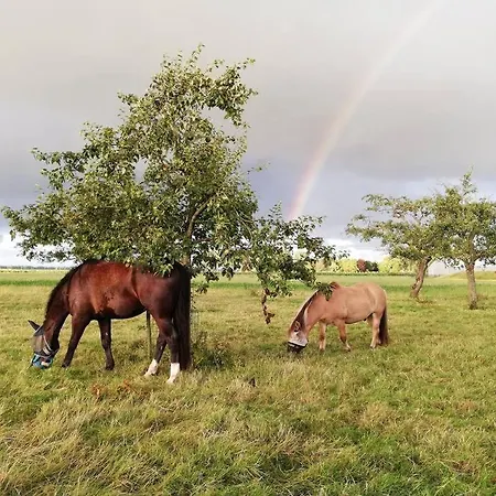 't Pekelhuis - Op Boerderij Huize Blokland
